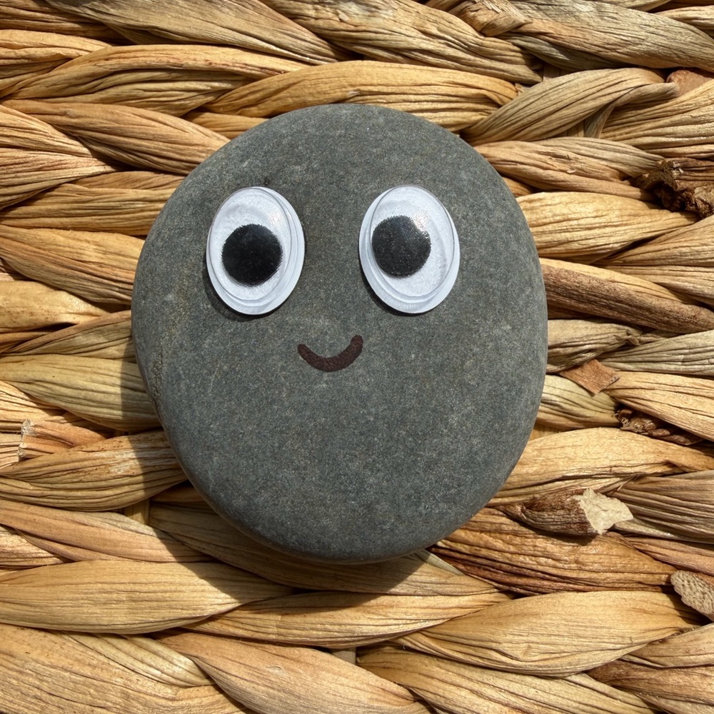 Worry Stone & Pet Rock